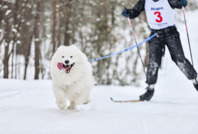 We’re Monitoring Trail Conditions Closely