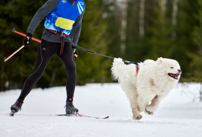 We’re Monitoring Trail Conditions Closely